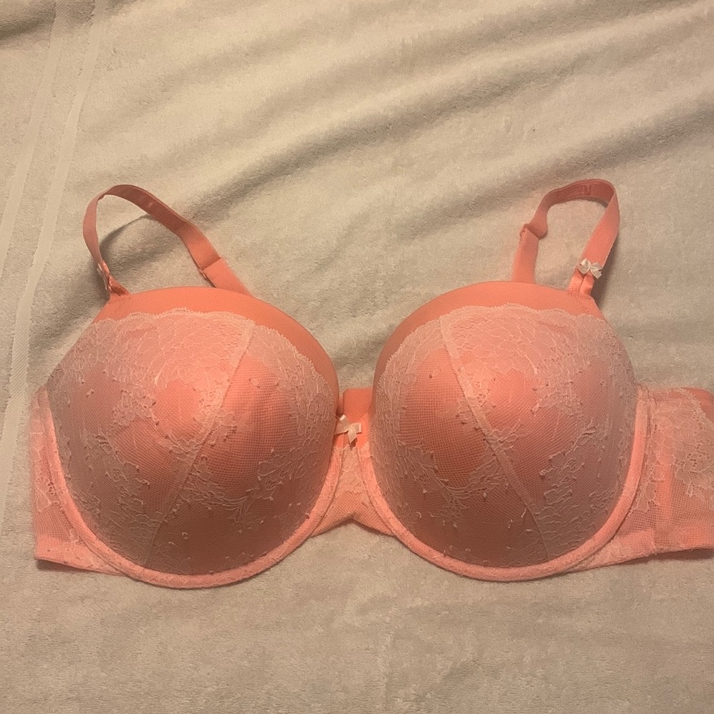 Torrid Bra